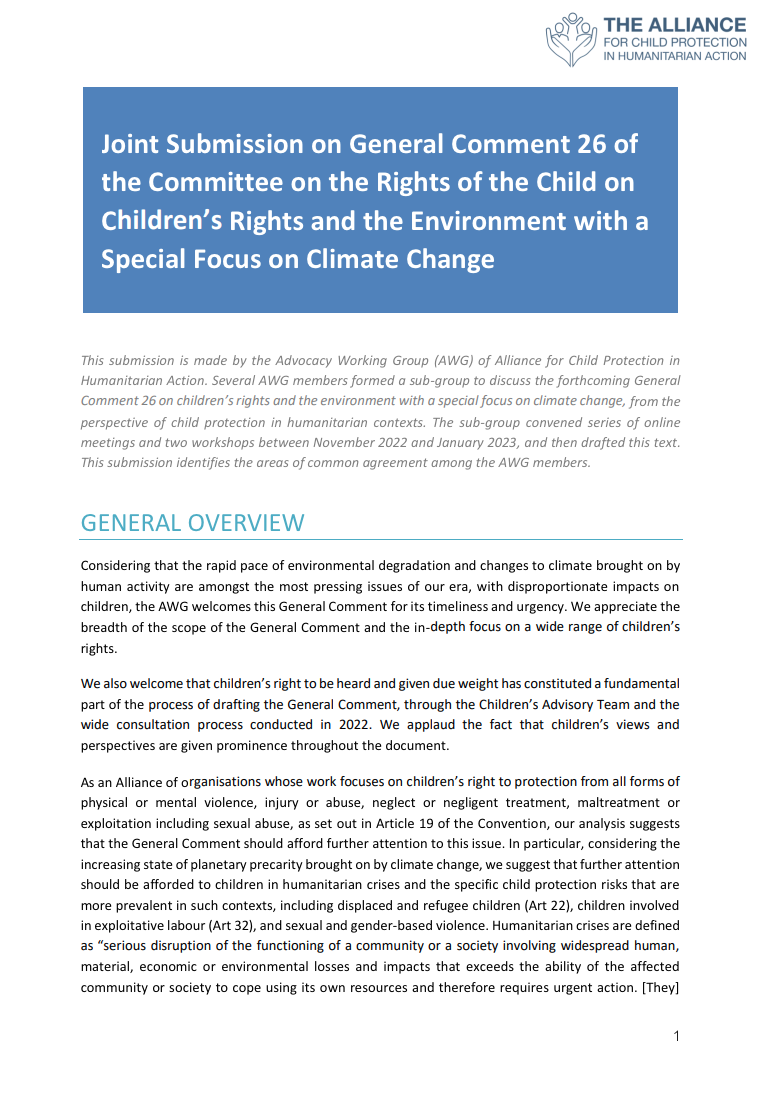 Joint Submission on General Comment 26 of the Committee on the Rights ...