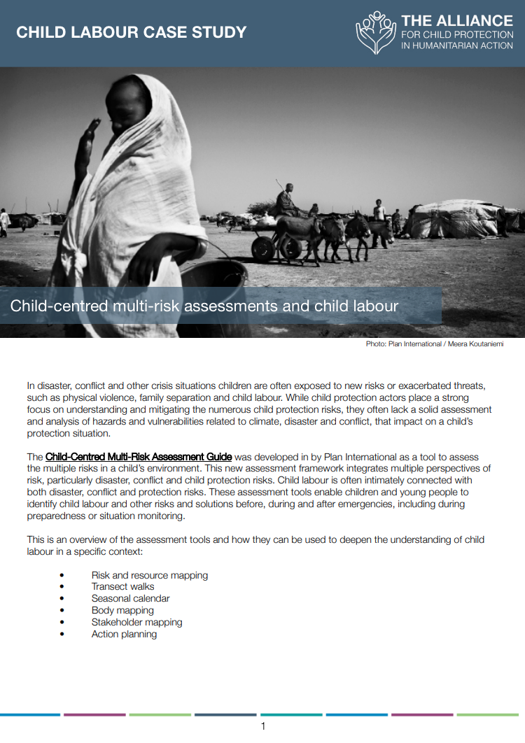 Child Roo Case Study Child Labour Case Study | Child-Centred Multi-Risk Assessments and ...