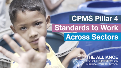 CPMS Pillar 4: Standards to Work Across Sectors