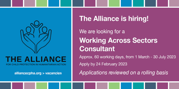 Working Across Sectors Consultant